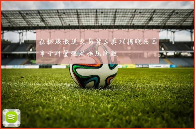 森林狼激进交易背后真相揭晓或因华子对管理层施压所致