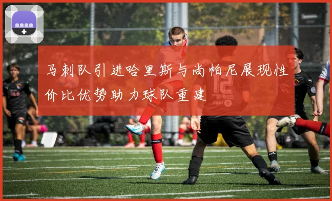 马刺队引进哈里斯与尚帕尼展现性价比优势助力球队重建